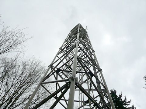 Foto 13
